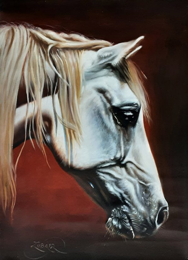 Oil Paint Horses Painting 5315